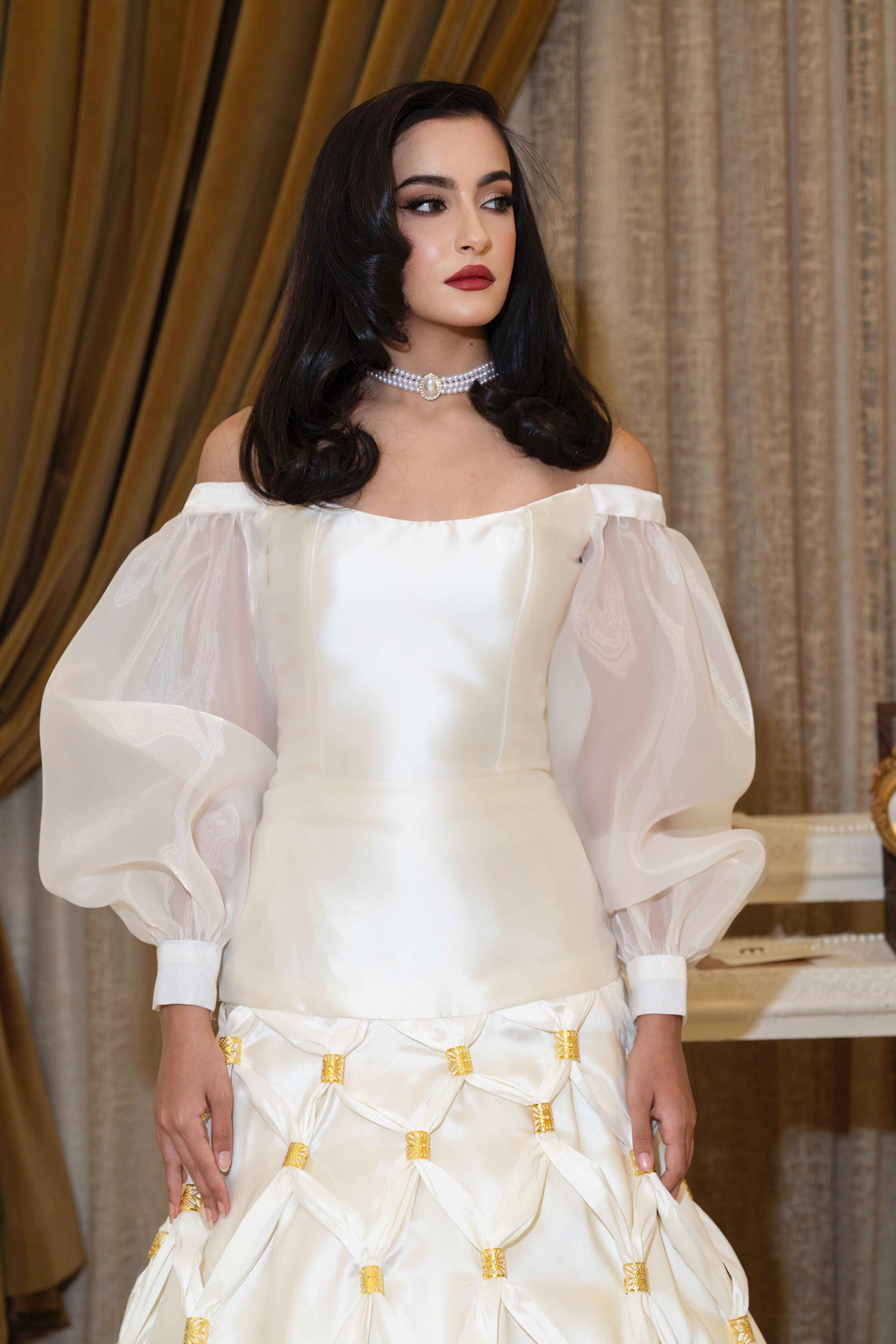 صورة مشروع أرستقراط 1