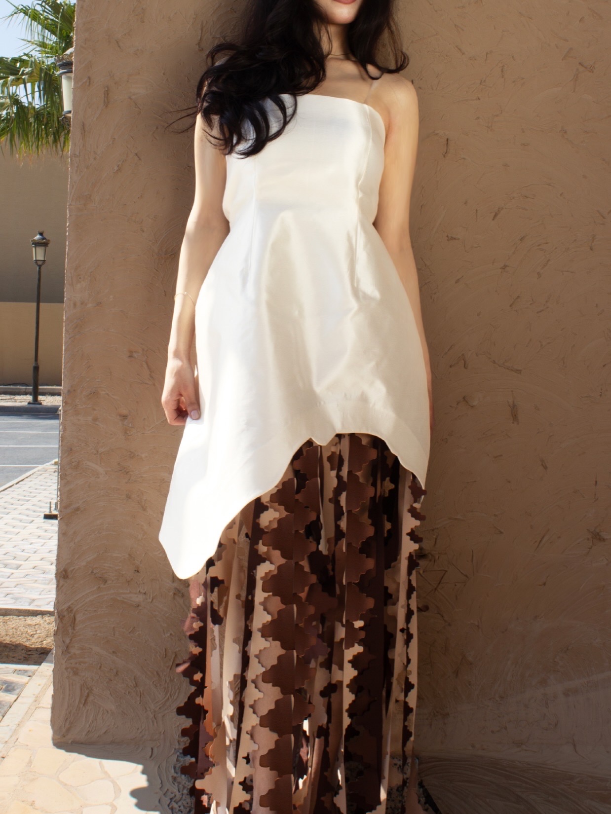 صورة المشروع