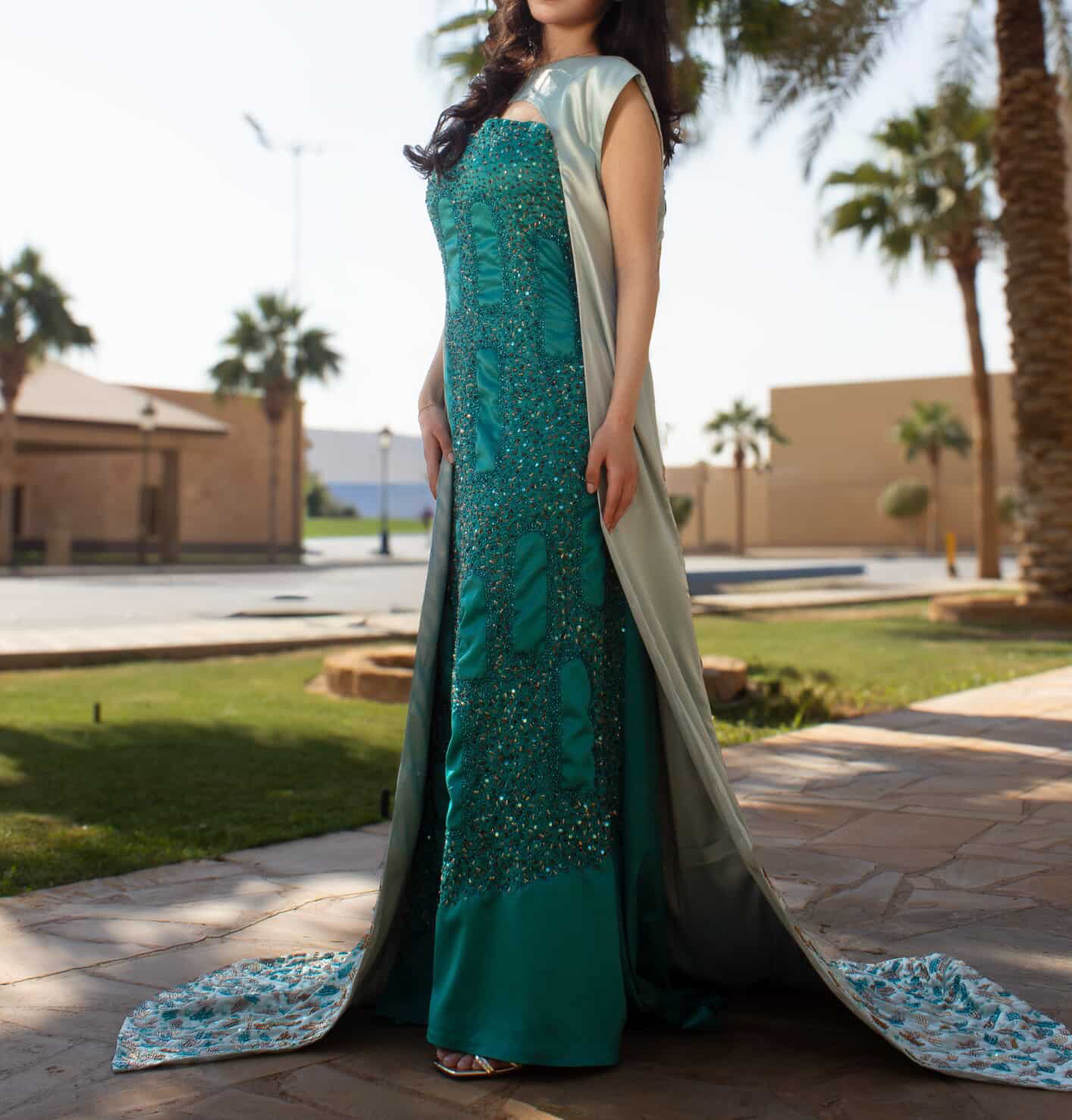 صورة المشروع